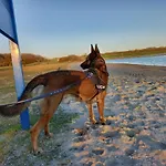 Beachloft Zeeland 1