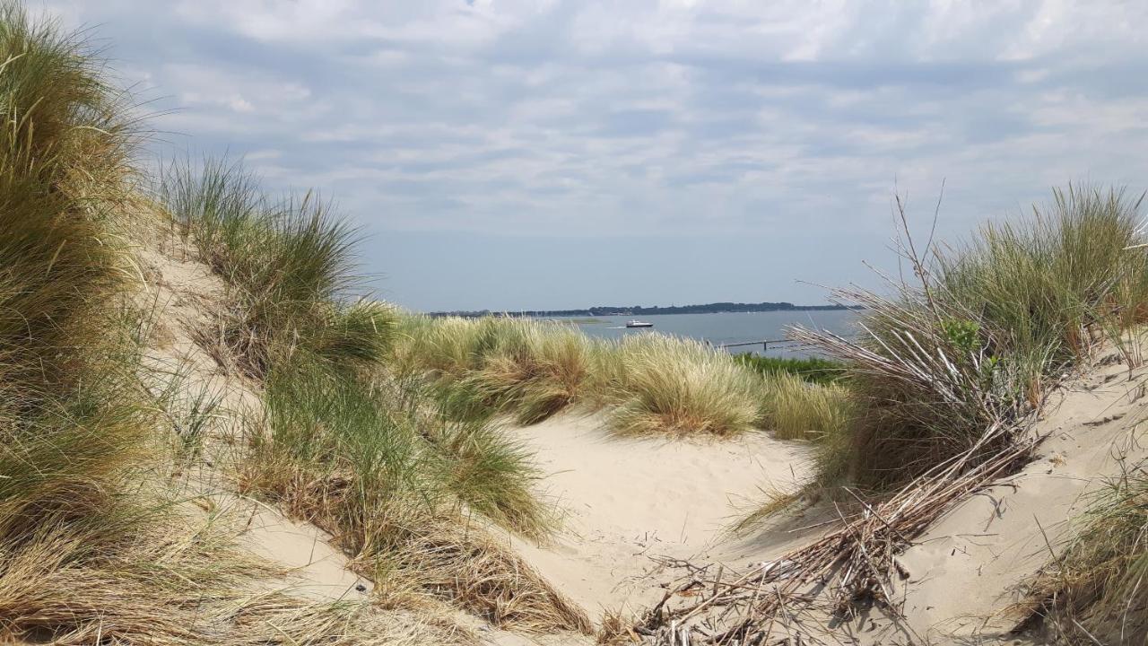 Beachloft Zeeland 1 Scharendijke